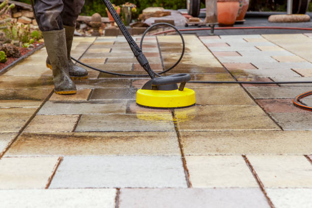 Best Dumpster Area Cleaning  in Spring Lake, MI